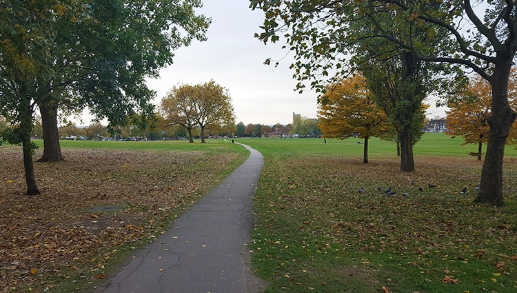 My Streatham Common Things To Do