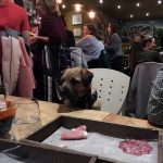 Dog in restaurant in Streatham